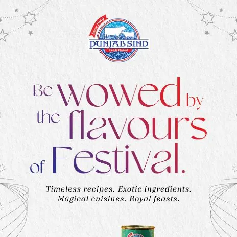 Punjab Sind campaign creative project by The Shades